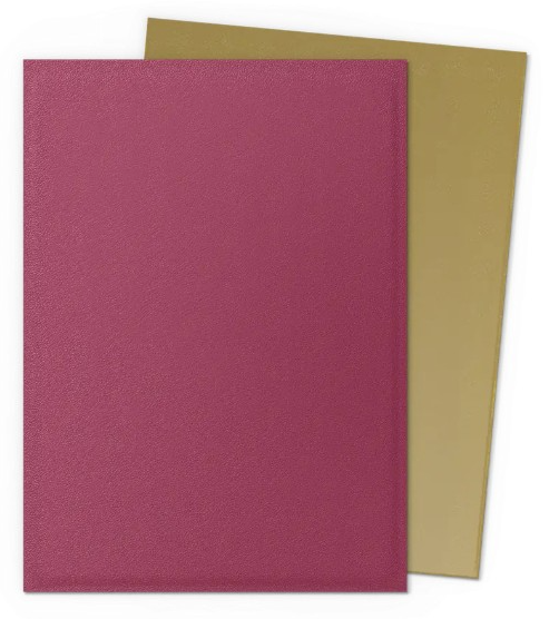 Dragon Shield Sleeves Matte Dual 100CT Pack: Choose Your Color!